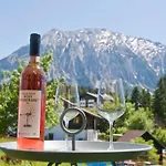 Apartamento Grimminggarten Tauplitz